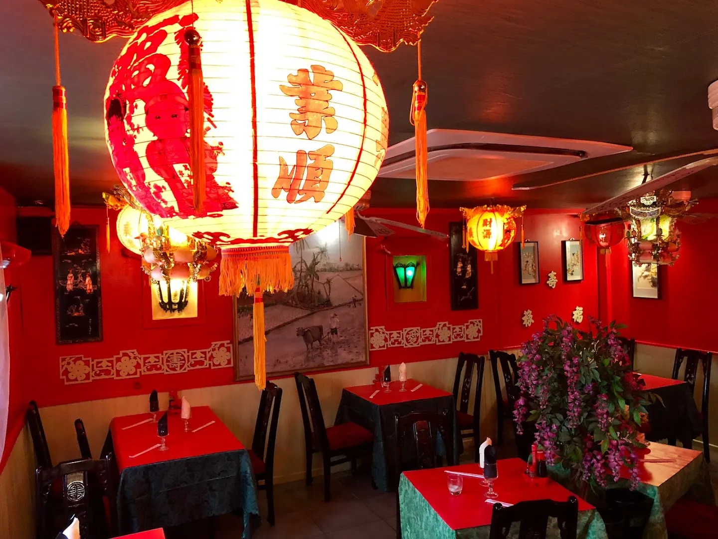 Dragon D’Annam Carcassonne